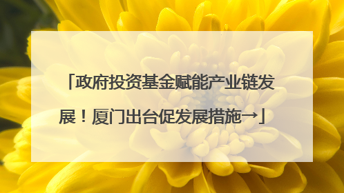 政府投资基金赋能产业链发展！厦门出台促发展措施→