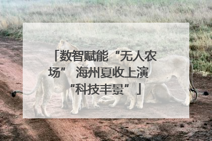 数智赋能“无人农场” 海州夏收上演“科技丰景”