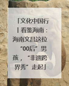 文化中国行丨看鉴海南：海南文昌这位“00后”男孩，“非遗跨界秀”走起