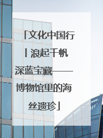 文化中国行丨浪起千帆 深蓝宝藏——博物馆里的海丝遗珍