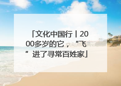 文化中国行丨2000多岁的它，“飞”进了寻常百姓家