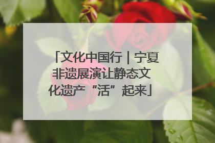 文化中国行｜宁夏 非遗展演让静态文化遗产“活”起来