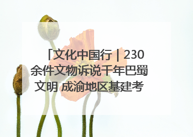 文化中国行｜230余件文物诉说千年巴蜀文明 成渝地区基建考古成果展开展