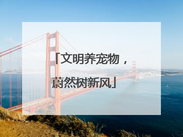 文明养宠物，蔚然树新风