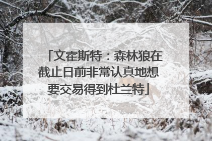 文霍斯特：森林狼在截止日前非常认真地想要交易得到杜兰特