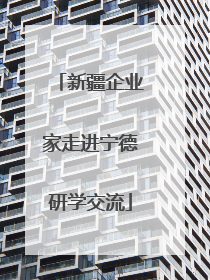 新疆企业家走进宁德研学交流