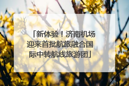 新体验！济南机场迎来首批航旅融合国际中转航线旅游团