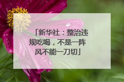 新华社：整治违规吃喝，不是一阵风不能一刀切
