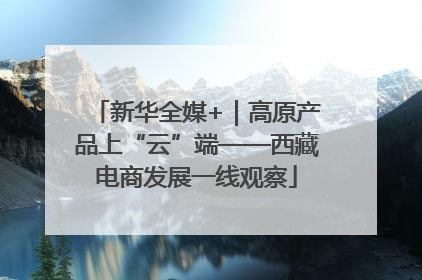 新华全媒+｜高原产品上“云”端——西藏电商发展一线观察