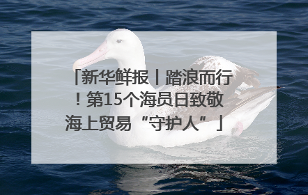新华鲜报丨踏浪而行！第15个海员日致敬海上贸易“守护人”