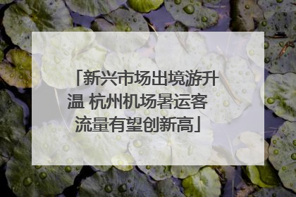 新兴市场出境游升温 杭州机场暑运客流量有望创新高