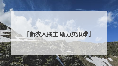 新农人播主 助力卖瓜难