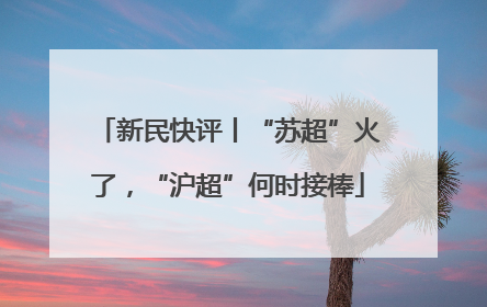 新民快评丨“苏超”火了，“沪超”何时接棒