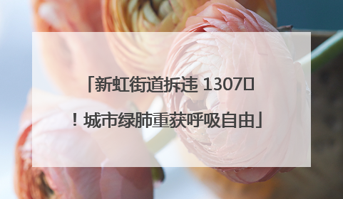 新虹街道拆违 1307㎡！城市绿肺重获呼吸自由