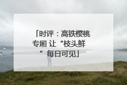时评：高铁樱桃专厢 让“枝头鲜”每日可见