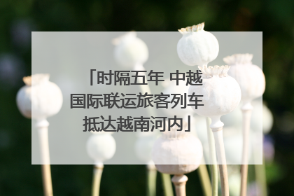 时隔五年 中越国际联运旅客列车抵达越南河内