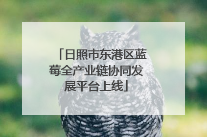 日照市东港区蓝莓全产业链协同发展平台上线