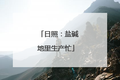 日照：盐碱地里生产忙