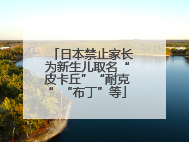 日本禁止家长为新生儿取名“皮卡丘”“耐克”“布丁”等