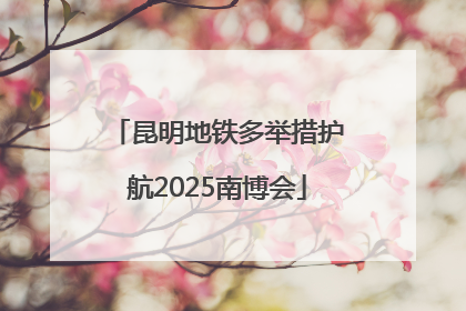 昆明地铁多举措护航2025南博会