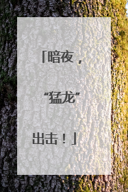暗夜，“猛龙”出击！