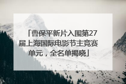曹保平新片入围第27届上海国际电影节主竞赛单元，全名单揭晓