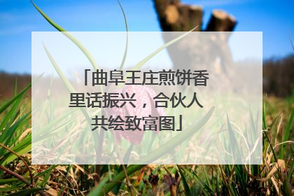 曲阜王庄煎饼香里话振兴，合伙人共绘致富图