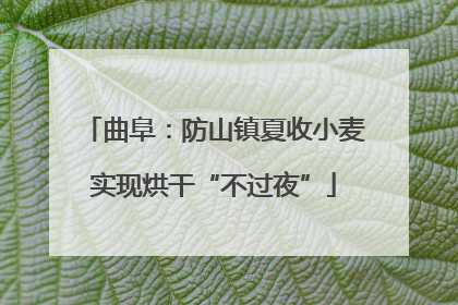 曲阜：防山镇夏收小麦实现烘干“不过夜”