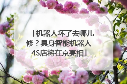 机器人坏了去哪儿修？具身智能机器人4S店将在京亮相