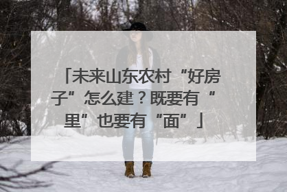 未来山东农村“好房子”怎么建？既要有“里”也要有“面”