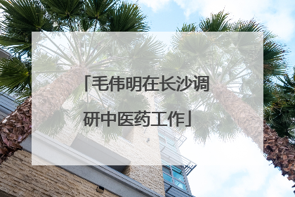 毛伟明在长沙调研中医药工作
