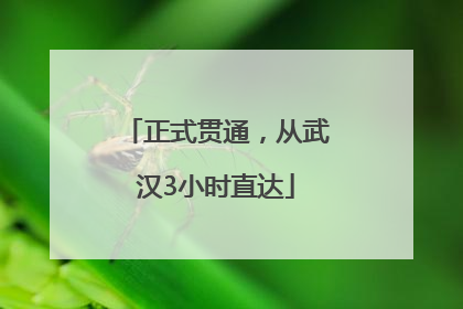 正式贯通，从武汉3小时直达