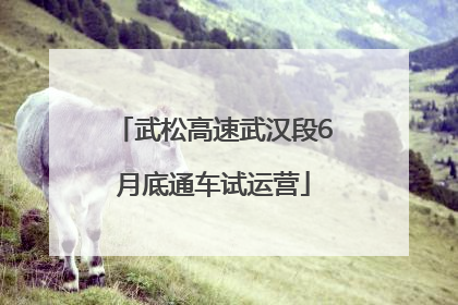 武松高速武汉段6月底通车试运营