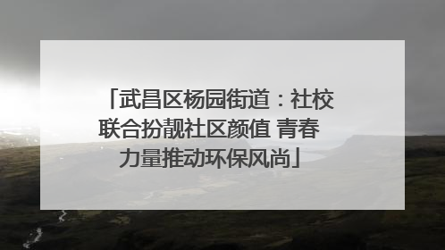 武昌区杨园街道：社校联合扮靓社区颜值 青春力量推动环保风尚