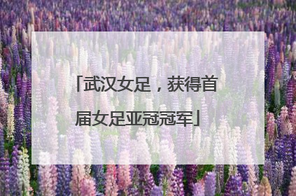 武汉女足，获得首届女足亚冠冠军