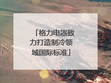 格力电器致力打造制冷领域国际标准