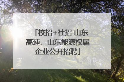 校招+社招 山东高速、山东能源权属企业公开招聘