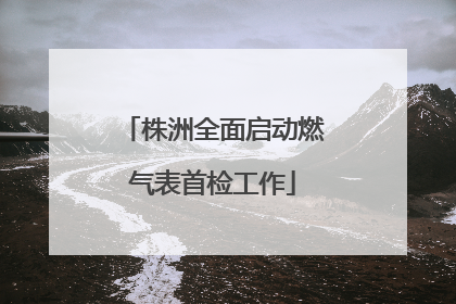 株洲全面启动燃气表首检工作