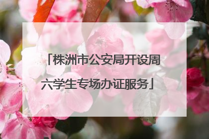 株洲市公安局开设周六学生专场办证服务