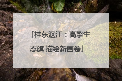 桂东沤江：高擎生态旗 描绘新画卷