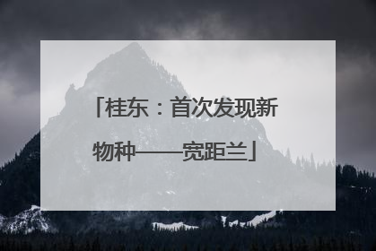 桂东：首次发现新物种——宽距兰