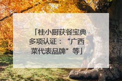 桂小厨获餐宝典多项认证：“广西菜代表品牌”等