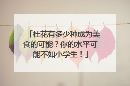 桂花有多少种成为美食的可能？你的水平可能不如小学生！