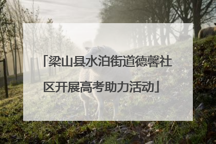梁山县水泊街道德馨社区开展高考助力活动