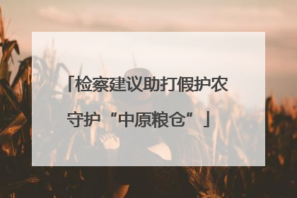 检察建议助打假护农守护“中原粮仓”