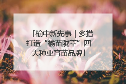 榆中新先事｜多措打造“榆苗陇萃”四大种业育苗品牌