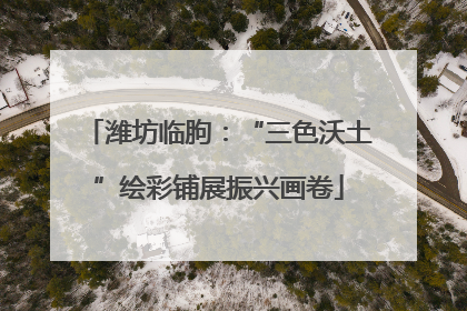 潍坊临朐：“三色沃土”绘彩铺展振兴画卷