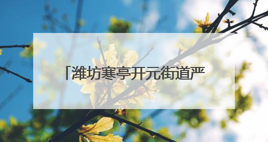 潍坊寒亭开元街道严阵以待防未“燃”