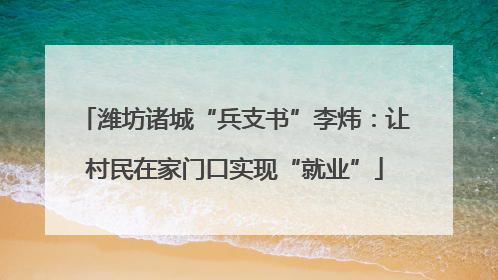 潍坊诸城“兵支书”李炜：让村民在家门口实现“就业”