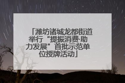潍坊诸城龙都街道举行“提振消费·助力发展”首批示范单位授牌活动